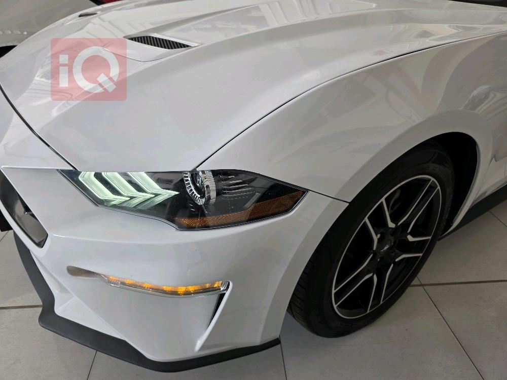 https://cdn.iqcars.ioscaled_1000067170_out.jpg